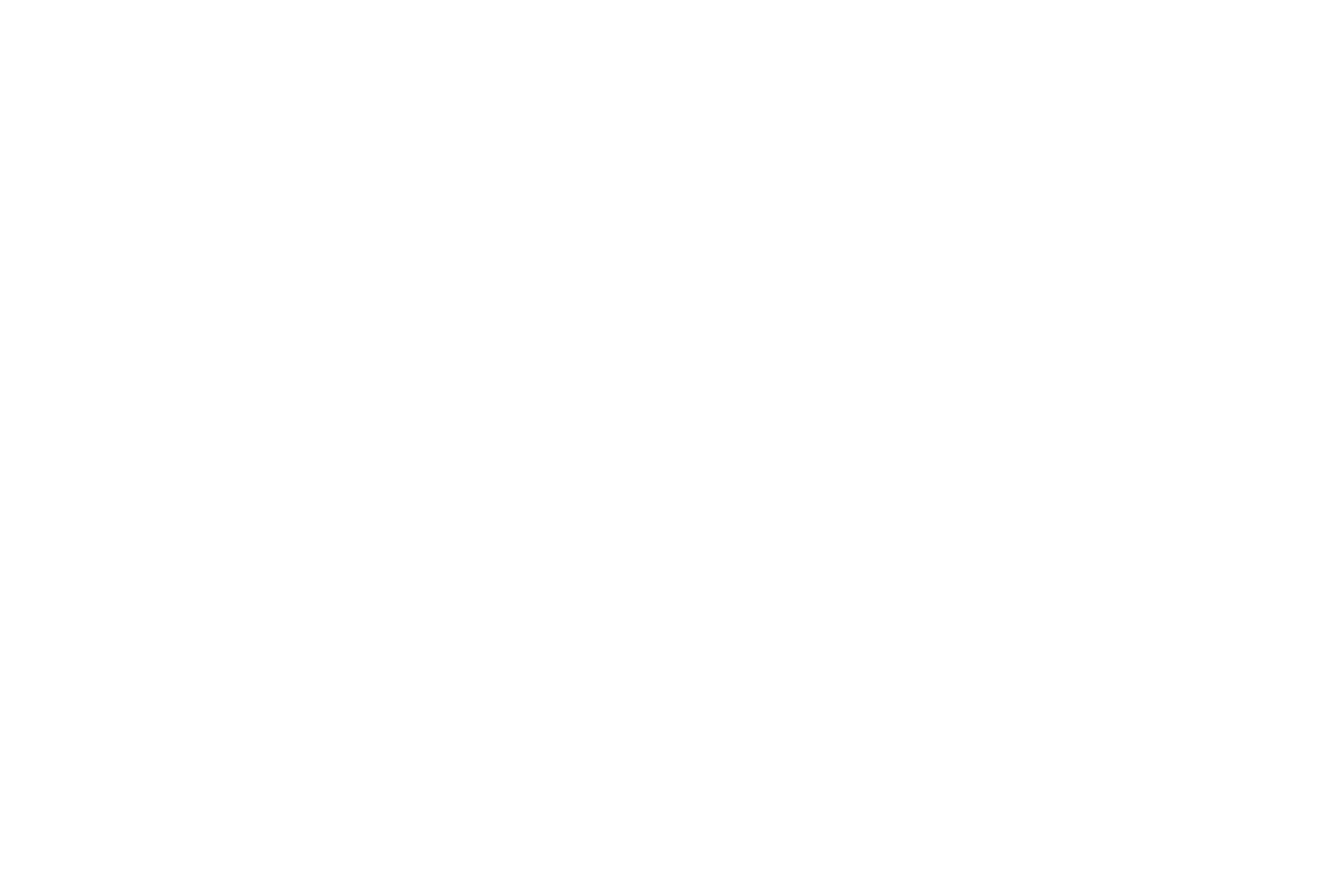 Salt PPS